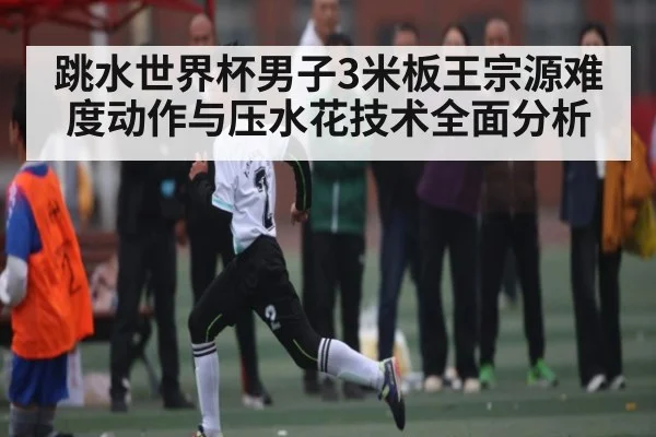 跳水世界杯男子3米板王宗源难度动作与压水花技术全面分析